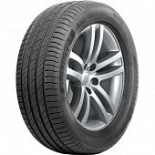 Delinte DS2 205/55 R16 94W